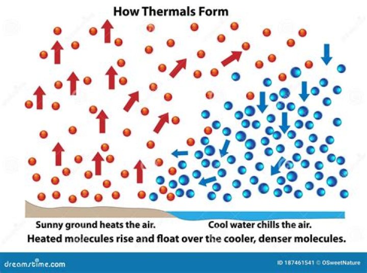 why does heat rise