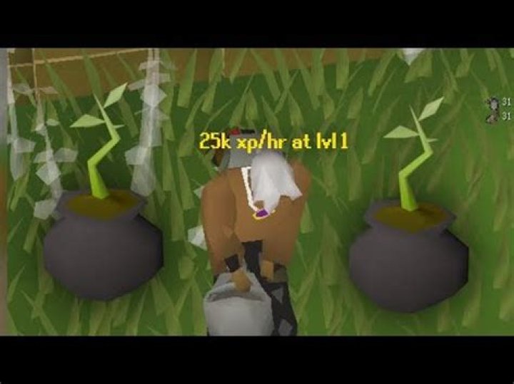 willow branches osrs