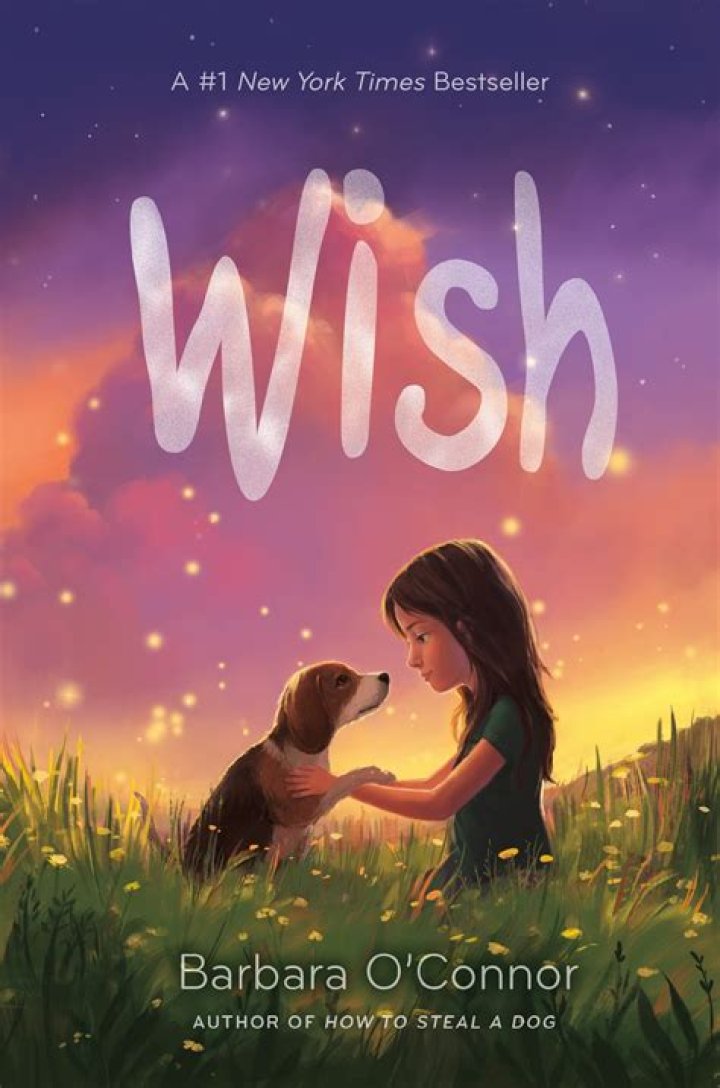 wish barbara o connor